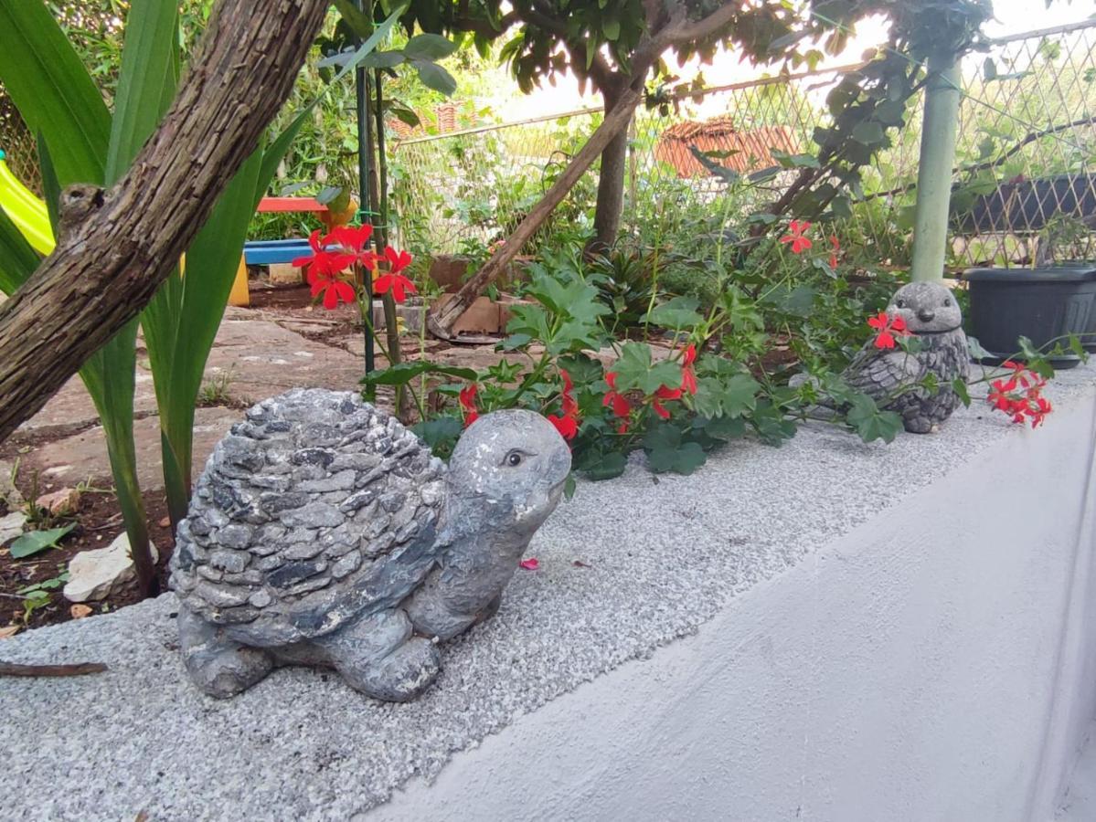 וולה לוקה Apartment With Garden מראה חיצוני תמונה